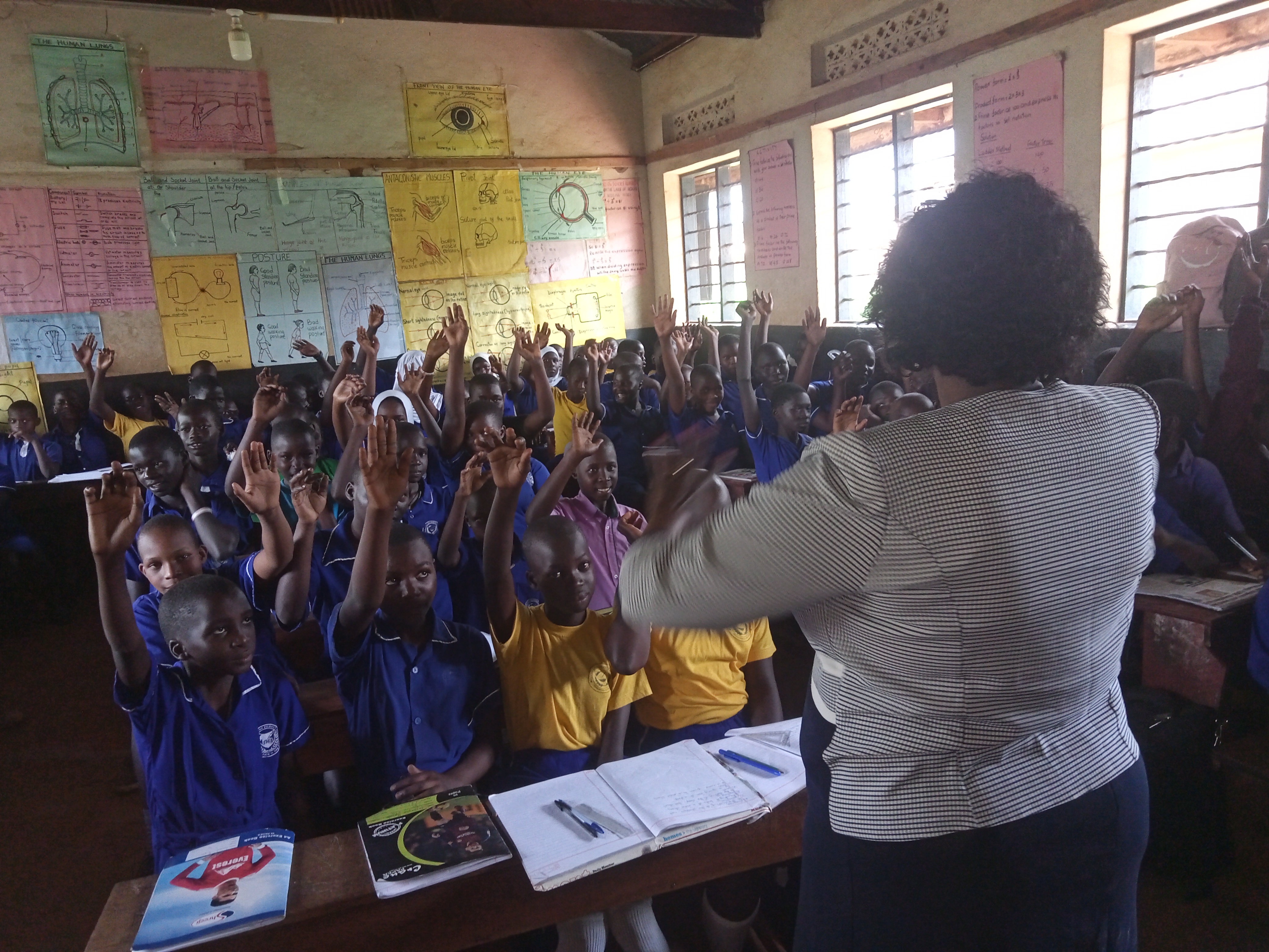 Youth and Adolescents in Schools